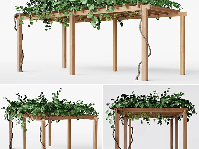 Wooden Pergola Structure With Green Vines Climbing Overhead For Outdoor Garden 3d model