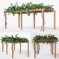 Wooden Pergola Structure With Green Vines Climbing Overhead For Outdoor Garden