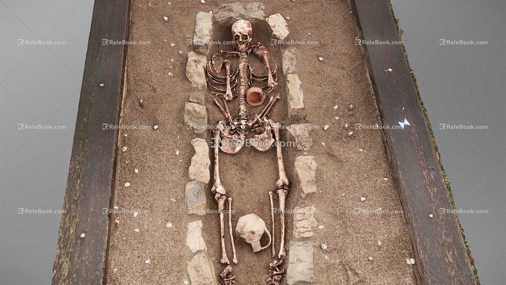 Modern skeleton skeleton excavation site 3d model