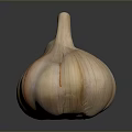 Fresh Garlic Bulb With Natural Texture On Dark Background Close Up View 3d model