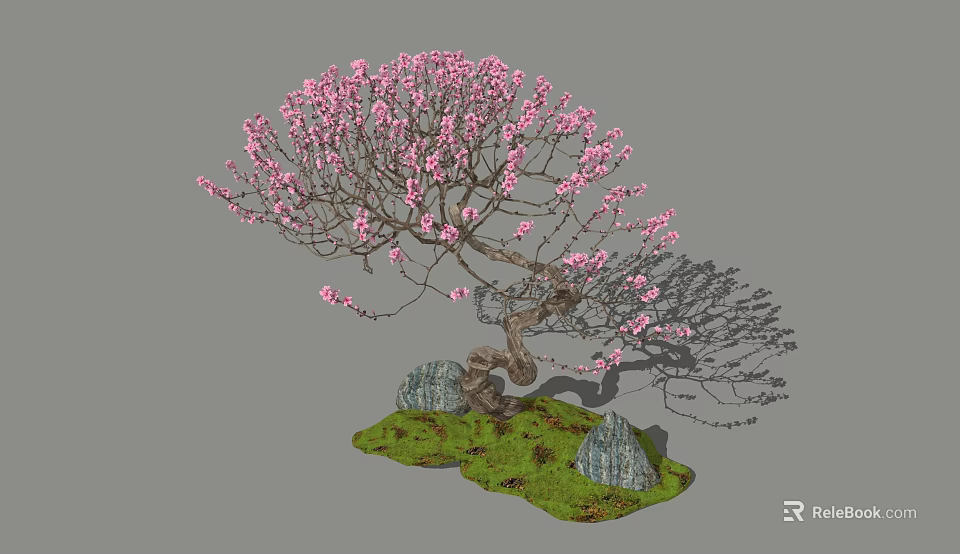 Ornamental Tree with Pink Blossoms Twisted Trunk Surrounded by Rocks and Green Grass 3d model 