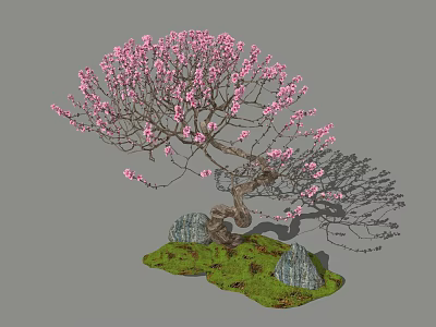 Ornamental Tree with Pink Blossoms Twisted Trunk Surrounded by Rocks and Green Grass 3d model