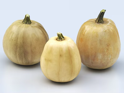Three Ripe Light Yellow Round Fresh Pumpkins Healthy Vegetables on White Background 3d model