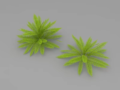Two Lush Green Fern Plants With Fresh Leaves On Gray Background 3d model