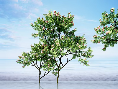 Slender Trunk Trees With Lush Foliage And Pink Flowers Against Blue Sky And Water 3d model