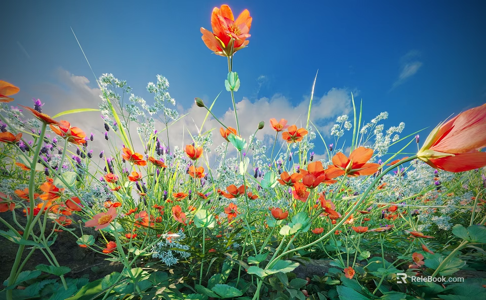 Vibrant Plant Combination With Orange Flowers Purple White Small Blooms Against Blue Sky White Clouds 3d model 