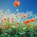 Vibrant Plant Combination With Orange Flowers Purple White Small Blooms Against Blue Sky White Clouds