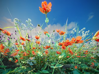 Vibrant Plant Combination With Orange Flowers Purple White Small Blooms Against Blue Sky White Clouds 3d model