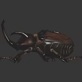 Modern Beetle Insect 3d model