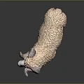 Detailed Sheep Sculpture With Curly Wool Texture In Standing Pose On Dark Background
