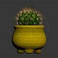 Green Spiny Cactus in Yellow Speckled Footed Pot against Dark Background