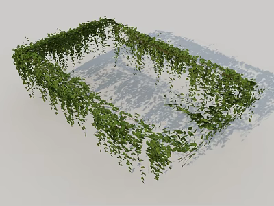 Green Vines Forming Square Frame With Hanging Leaves And Natural Design 3d model