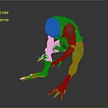 Green Humanoid Fantasy Creature Character In Standing Pose With Detailed Textured 3D Design