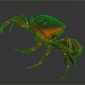 Vibrant Red Crab With Shiny Dark Shell On Dark Background Displaying Extended Legs And Claws 3d model