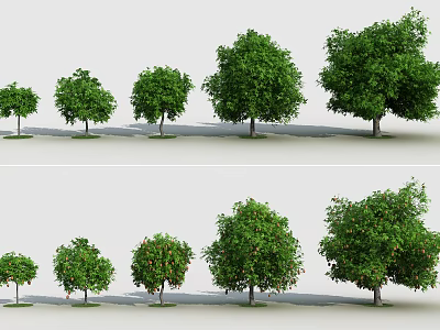 Arbor Trees in Various Sizes Showcasing Green Foliage and Red Fruits 3d model
