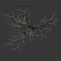 Leafless Tree with Two Main Trunks and Green Moss at Roots on White Background 3d model