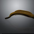 Orange Moray Eel With Curved Body On Gray Background Showing Reflection 3d model