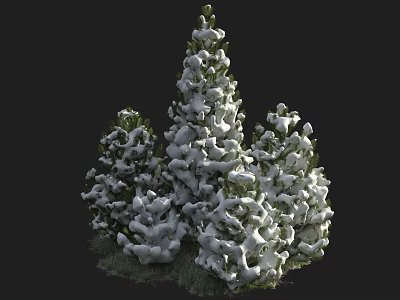 Clusters Of Green Bushes Covered With White Snow In Outdoor Scene 3d model