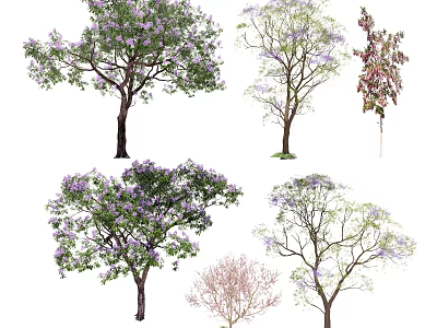 Various Ornamental Trees Featuring Purple Blossoms Green Leaves and Different Foliage 3d model