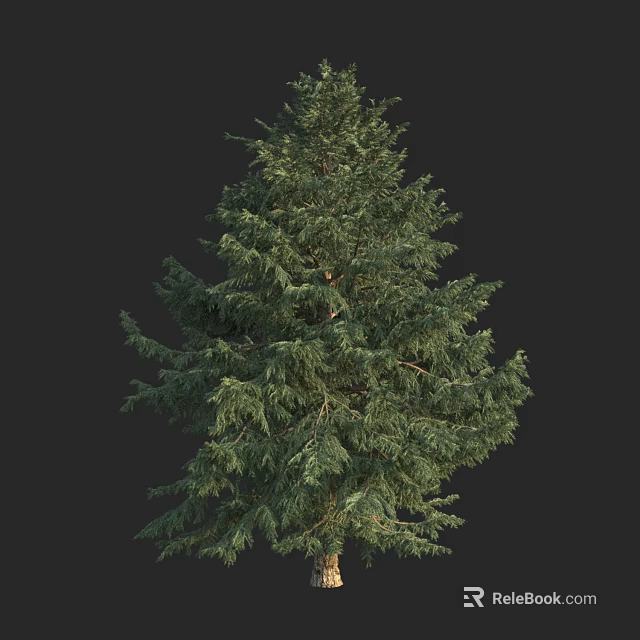 Evergreen Arbor With Dense Lush Green Foliage And Tall Straight Trunk 3d model 