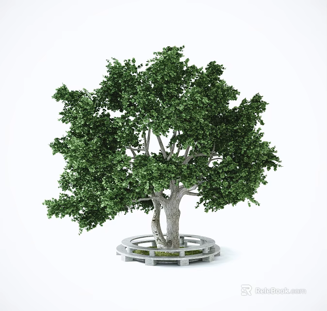Lush Arbor with Green Foliage and Sturdy Trunk on Circular Stone Platform 3d model 