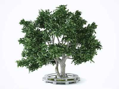 Lush Arbor with Green Foliage and Sturdy Trunk on Circular Stone Platform 3d model