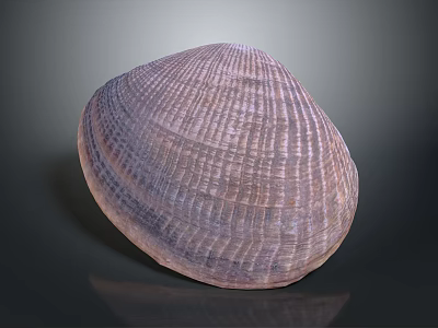 Beautiful Clam Shell With Intricate Purple Texture And Rounded Shape On Dark Background 3d model