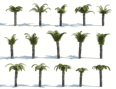 Modern Palm Tree 3d model