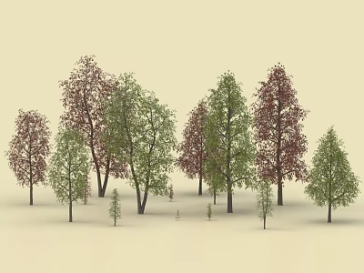Tall and Slender Trees with Green Red Leaves in Natural Outdoor Landscape View 3d model