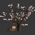 Blooming Pink Flowering Tree with Wooden Box Colorful Cabinet and Small Tray on Dark Background