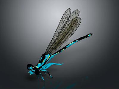 3D Rendered Dragonfly With Black Blue Body And Transparent Wings 3d model