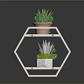 Stylish Two Tiered White Wooden Shelf With Potted Green Plants And Colored Pots