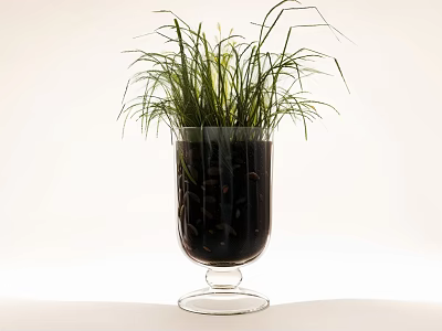 Grassy Bonsai Potted Plant in Transparent Glass Vase with Black Pebbles on White Background 3d model