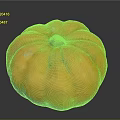 Fresh Bright Orange Round Pumpkin with Smooth Texture for Healthy Autumn Recipes