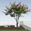 Beautiful Tree With Pink Flowers And Green Leaves Against Clear Blue Sky