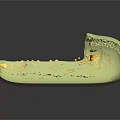 3D Model of Organelle with Light Green Outer Layer Pink Inner Structure and Yellow Particles