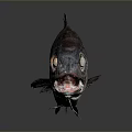 Grey Fish Shaped Decorative Household Item With Red Eyes Open Mouth And Shiny Surface
