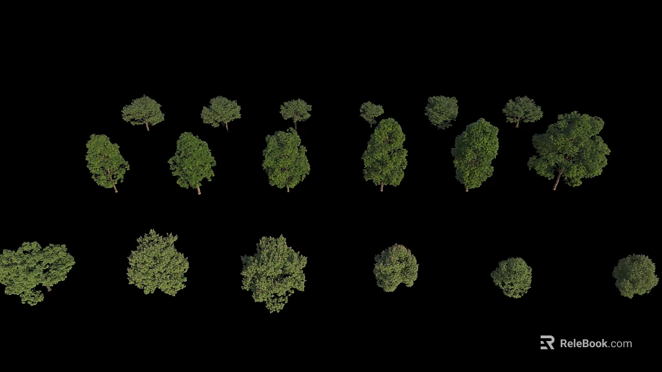 Arbor Collection Featuring Various Sizes Shapes and Green Foliage Canopies 3d model 