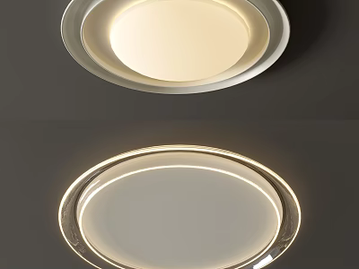 Modern Round Ceiling Lights With Soft LED Glow And Sleek Metal Frame 3d model