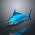 Vibrant Blue Sailfish Aquatic Animal With Long Bill Sleek Body And Surface Reflection