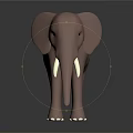 3D Elephant Model With Brown Body White Tusks On Black Background And Reflective Base