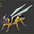 Yellow And Blue Striped Wasp With Light Colored Wings On Dark Background Geometric Design Reflection