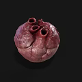 Human Heart As Chest Organ 3D Rendering With Anatomical Structure And Vascular Details