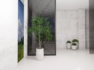 Modern Indoor Space Featuring Large And Small Potted Plants In White Planters 3d model