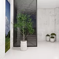 Modern Indoor Space Featuring Large And Small Potted Plants In White Planters