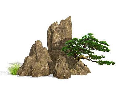 Natural Courtyard Garden With Rocks Pine Tree And Green Grass 3d model
