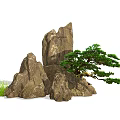 Natural Courtyard Garden With Rocks Pine Tree And Green Grass