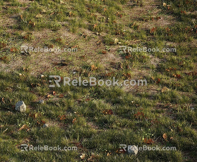 modern grassland 3d model