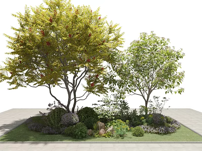 Two Ornamental Trees With Green And Yellow Foliage Red Fruits Shrubs Stones And Grass 3d model