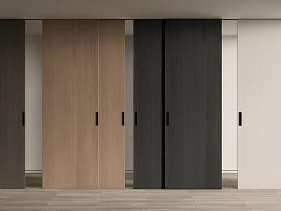 Modern Interior Sliding Doors With Various Colors And Wooden Panels 3d model